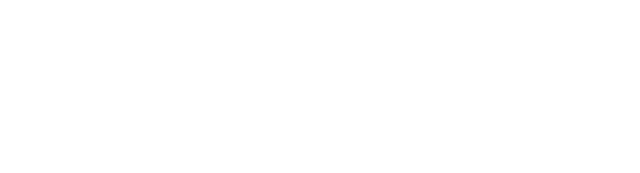REI Data Pros